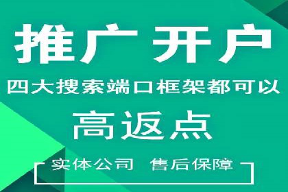 某科技公司的信息流广告投放策略与效果评估